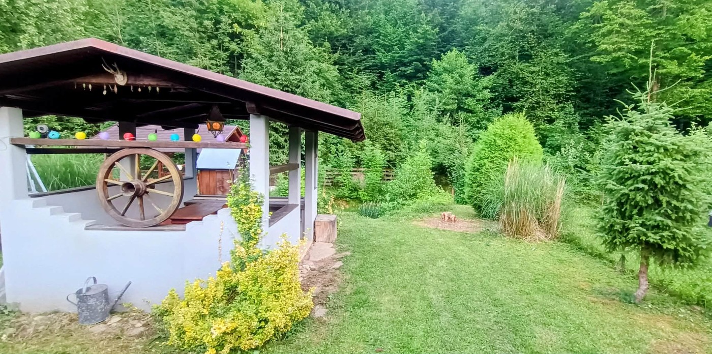 Zahrada obklopená zelení